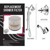 Westbrass SHF Replacement Filter Cartridge Arm and/or Fixed Shower Head,