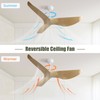 CHARMMA 52 Inch Indoor Ceiling Fan No Light With 6