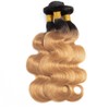 UKSHL J1B27 BB Human Hair Bundles 121416