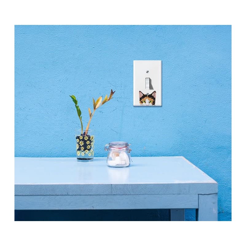 WIRESTER Single Gang Toggle Light Switch Plate/Wall Plate Cover -