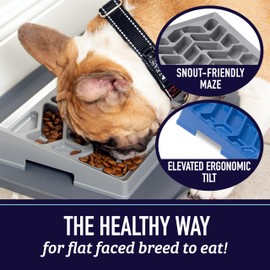 Leashboss Slow Feeder Dog Bowl for Flat Face Breeds, Tilted Slow Feed Bowl for Dogs & Cats, Slanted Maze Food Bowl for French Bulldogs, Pugs, Boston Terriers, Flat Face Dog Bowls Large