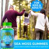 Beary Fine Sea Moss Gummies & Apple Cider Vinegar -