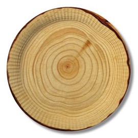 Pappteller in Holzoptik 23 cm 10er Pack