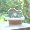 Narika Chaya Sangyo Storm Glass Cloud (Oval Stand) 333-400 "Fun