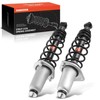 A-Premium Rear Pair (2) Complete Strut & Coil Spring Assembly