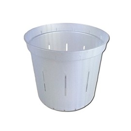 4" Slotted Clear Orchid Pots - 3 Pack (White Pearl)