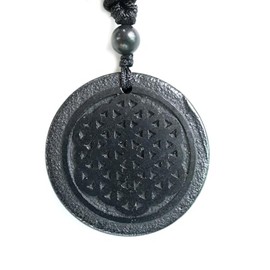 RICHRAIN RICHRAIN Halskette mit Anh?nger aus echtem natrlichem Schungit, spirituelle Geschenke fr Frauen, Kristallheilung, Kristallgeschenke fr M?nner (20230508UK-SPN-Flower of Life)