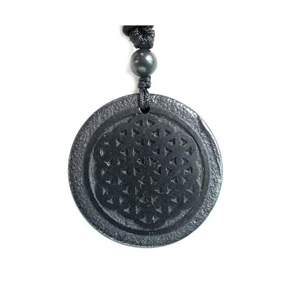 RICHRAIN RICHRAIN Halskette mit Anh?nger aus echtem natrlichem Schungit, spirituelle