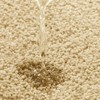 Allure Luxury Deep Pile Microfibre Bath Mat, Non-Slip, 50 x