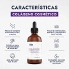 Hebbe colágeno líquido hidrolizado puro 100 g uso cosmético, piel