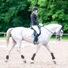 LIXADA Horse Front and Rear Leg Protectors Horse Boots Leg