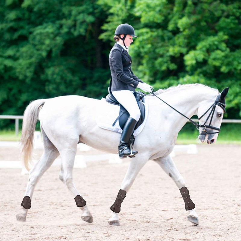 LIXADA Horse Front and Rear Leg Protectors Horse Boots Leg