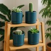D'vine Dev Set of 2 Plants Pots, 4.7 Inch Ceramic