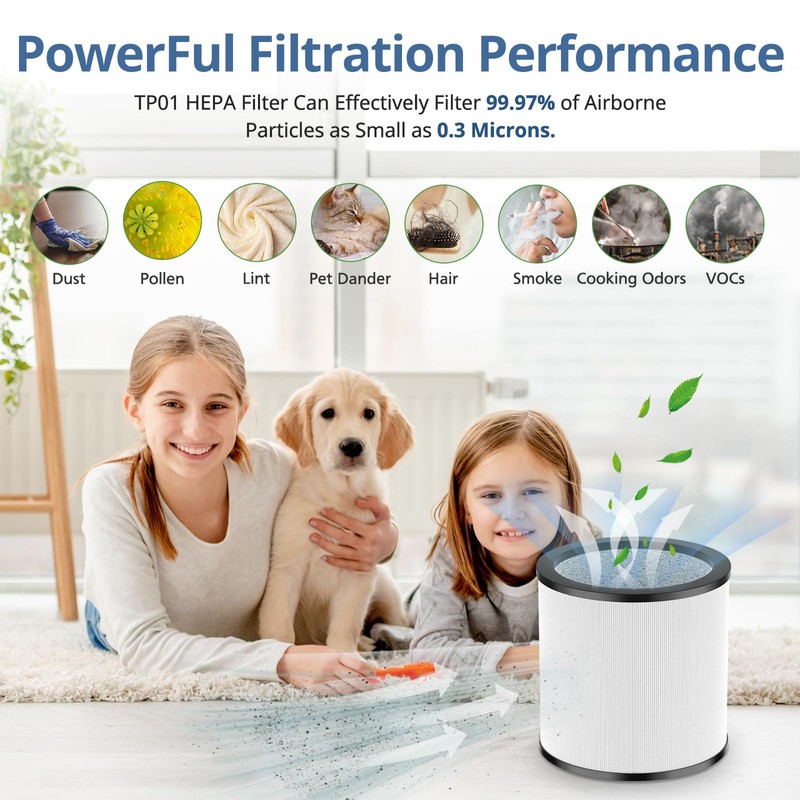 Upgraded TP01 Filter HEPA Replacement Filter Compatible with Dyson Tower