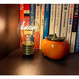 Beilf Battery Operated Cordless Edison Light Bulb, Rechargable LED Edison Bulb, Vintage Style Warm White 2700K, Magic LED Light Bulb,1 Pack