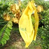 HouWanA Fruit Protection Bags 100pcs Cover Bags 9X11.8inch, for Fruit