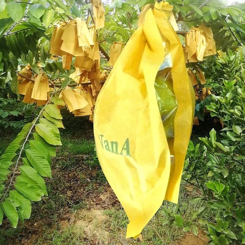 HouWanA Fruit Protection Bags 100pcs Cover Bags 9X11.8inch, for Fruit