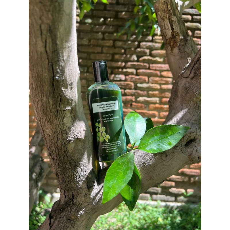 Shampoo Alquitrán De Hulla Y Aceite Esencial De Bergamota