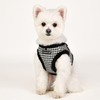 Puppia Shepherd Harness B - Black - S