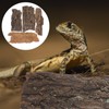 Cork Bark Background,4 PCS Reptile Natural Bark Cork Wood Bark