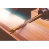 NordWolf 13-Piece HSS Titanium Hex Shank Spiral Flute Step Drill,