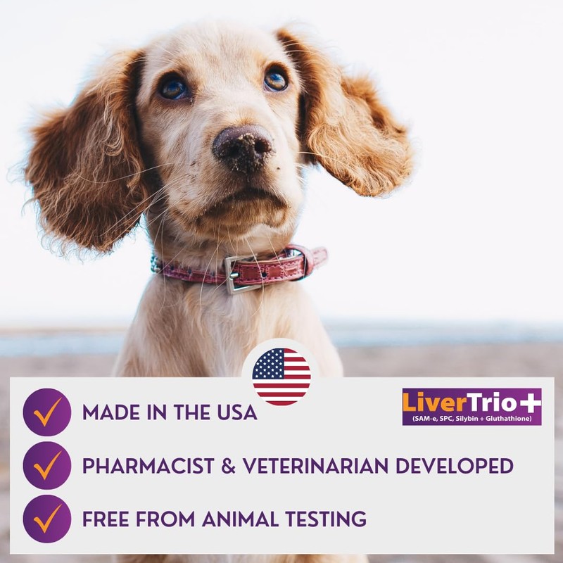 LiverTrio+ Comprehensive Liver Support Supplement for Large Dogs. Flavorful Chewable