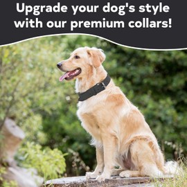 Dog Collar for Big & Medium Size Dogs - Faux Leather, Vegan & Sustainable Canine Collars with Chic Buckle - Heavy Duty, Soft & Comfortable - Ideal Pairing with Your Ruthi Tagtote Dog Wallet - Black