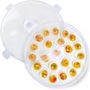 HANSGO Deviled Egg Containers with Lid, Deviled Egg Platter Carrier