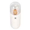 Nano Mist Sprayer Handheld 250mAh USB Rechargeable Nano Mister Facial
