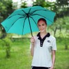 Umbrella Compact Inverted Folding Umbrellas Auto Open Auto Close -