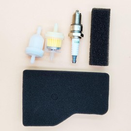 Weijinlan Carburetor Recoil Starter Set for Honda EU2000i EU2000IK1 Inverter Generator 16100-Z0D-D01 16100-Z0D-D03 28400-Z07-004