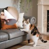 Scratch Protection Sofa Cat Scratch Protection Cat Tape 100% Transparent