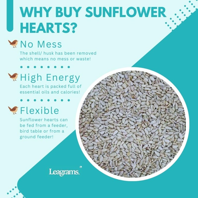 Leagrams Leagrams Premium Sunflower Hearts 25.1kg