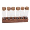 Coffee Bean Storage Tubes with Walnut Wood Stand Lid Glass