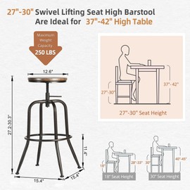 Homy Casa Set of 2 Adjustable Swivel Barstools with Footrest and Anti-Slip Footcaps, for Library Desk, Study Room and Reception Area