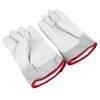 Work Gloves Waterproof Cowhide Cold Resistant Low Temperature Liquid Ammonia