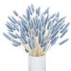 VirtuGro 120pcs Bunny Tails Dried Flowers Grey Blue Pampas Grass