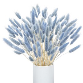 VirtuGro 120pcs Bunny Tails Dried Flowers Grey Blue Pampas Grass Rabbit Tails Dried Flowers Bulk Natural Lagurus Ovatus for Dried Floral Arrangement Home Boho Wedding Party Decor (16")