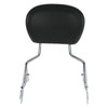 TCMT Detachable Passenger Backrest Sissy Bar With 2 Up Air