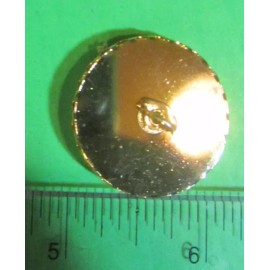 VERBAL IOWA STATE BIRD-GOLDFINCH FLOWER-WILD ROSE CERAMIC METAL SHANK BUTTON-X76