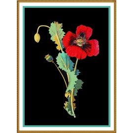 Orenco Originals Opium Poppy Flower Mary Delany Counted Cross Stitch Pattern