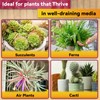 Riare 1QT Orchid Potting Mix for Repotting- Orchid Repotting Kit