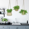 alma home 3 x Hanging Flower Pot, Hanging Baskets Set,