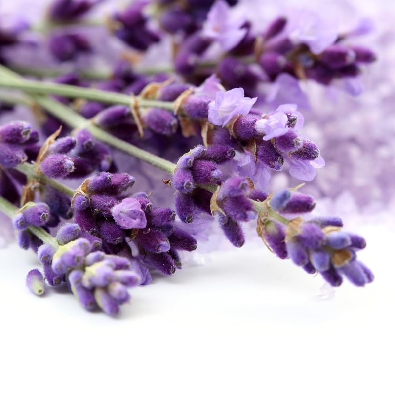 OliveNation Premium Lavender Extract from Natural Flavors, Light Floral Flavoring