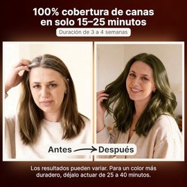 Herbishh - Champú para teñir el cabello gris, champú con tinte natural para el cabello, colorea el cabello en minutos, dura hasta 3 a 4 semanas, 500 m