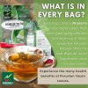 Hanan Yacon Leaves 1.1oz (30g) Loose Leaf Herbal Tea from