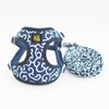 JOYFUSION Harness for Dogs, Arabesque Pattern, Dog Harness and Lead