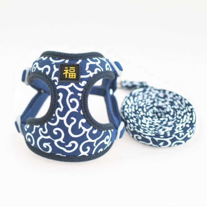 JOYFUSION Harness for Dogs, Arabesque Pattern, Dog Harness and Lead
