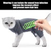 1 Piece Cat Recovery Suit with 4 Pieces Cat Spring