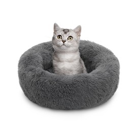 MoNiBloom 24"x24"x10.5" Dog Beds for Small Size Dogs Machine-Washable Long Plush Pet Beds Warming Cozy Soft Bed for Dogs and Cat, Dark Grey